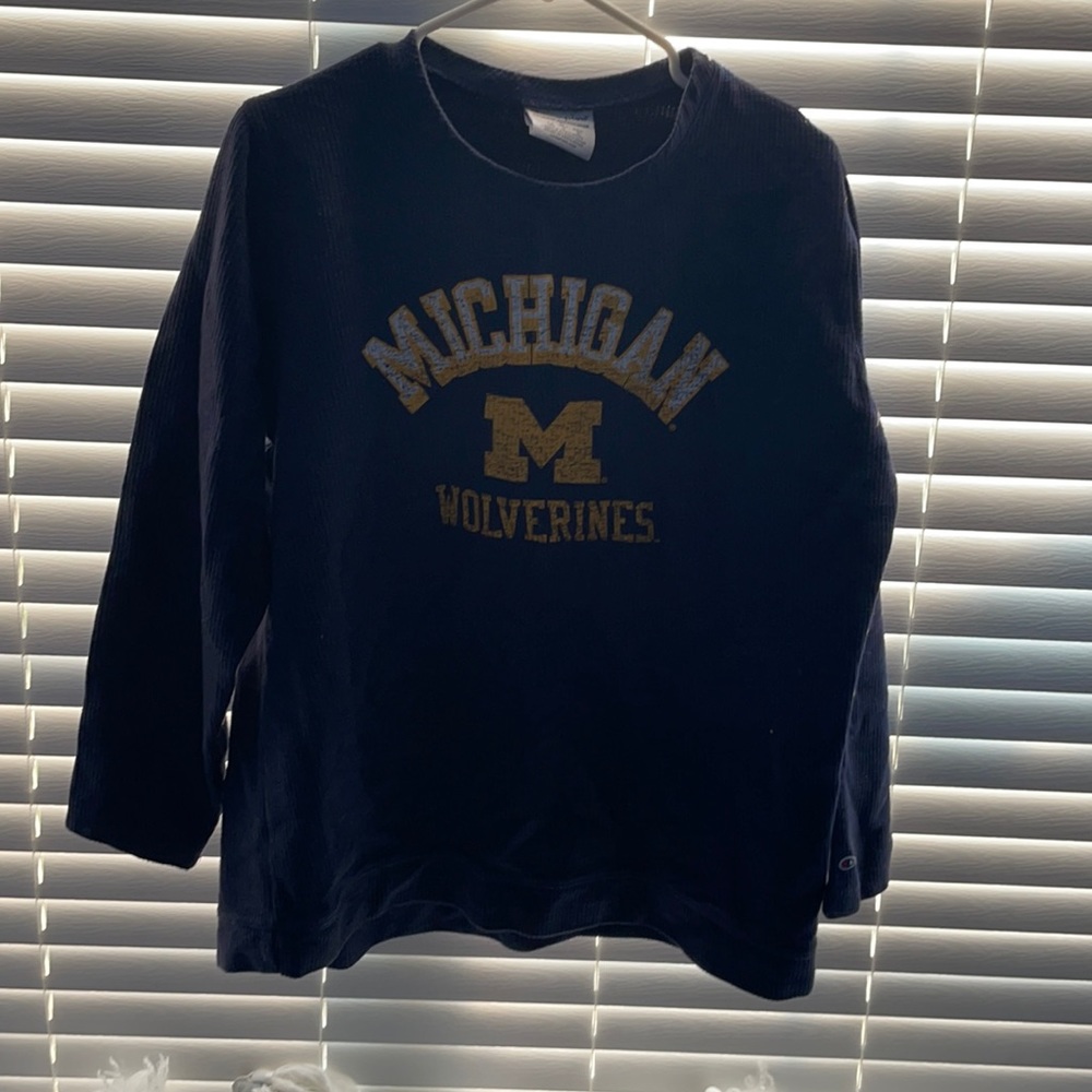 champion Michigan crewneck